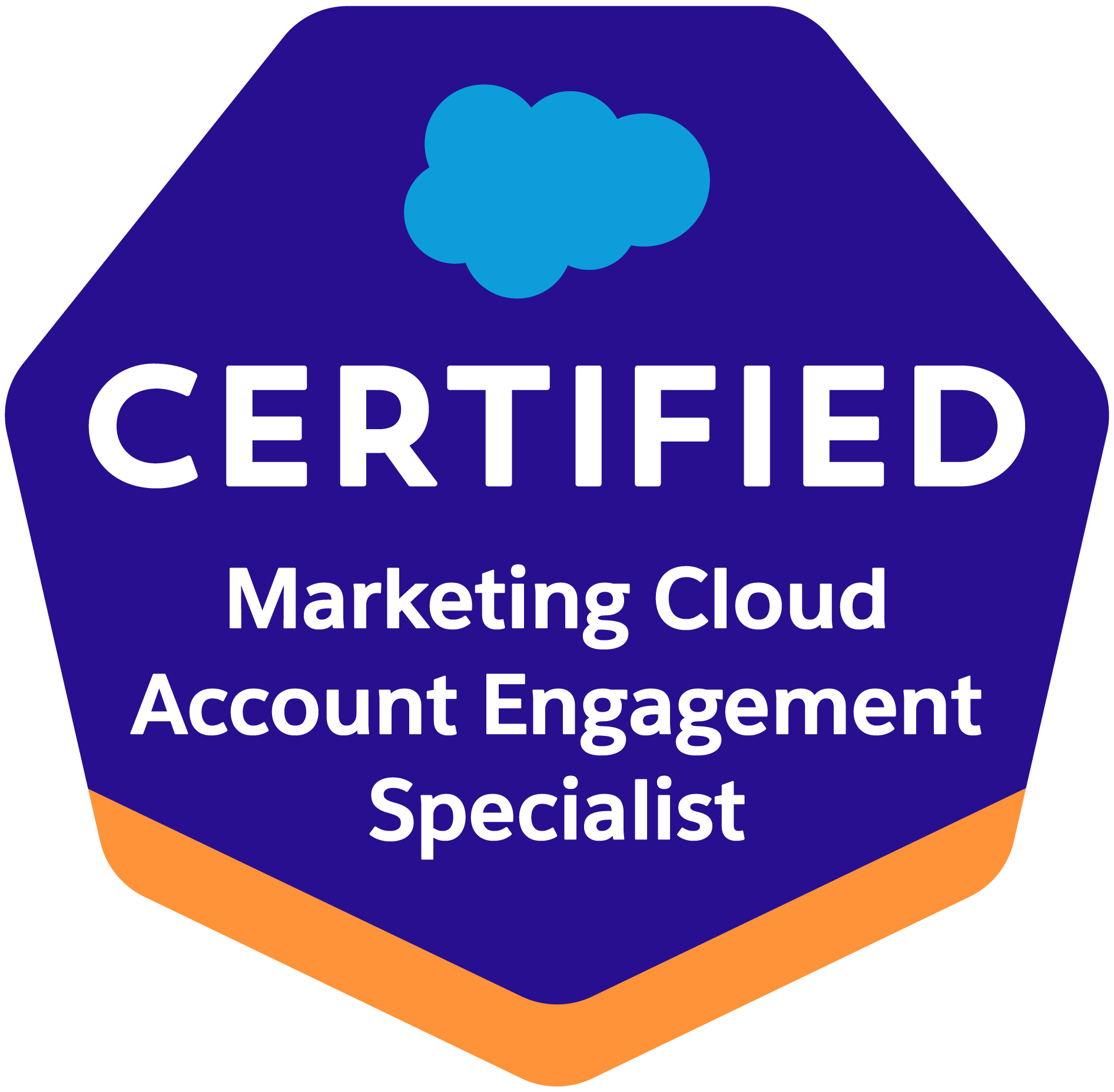 Marketing Cloud Account Engagement Specialist certificaat - Marketing automation expert