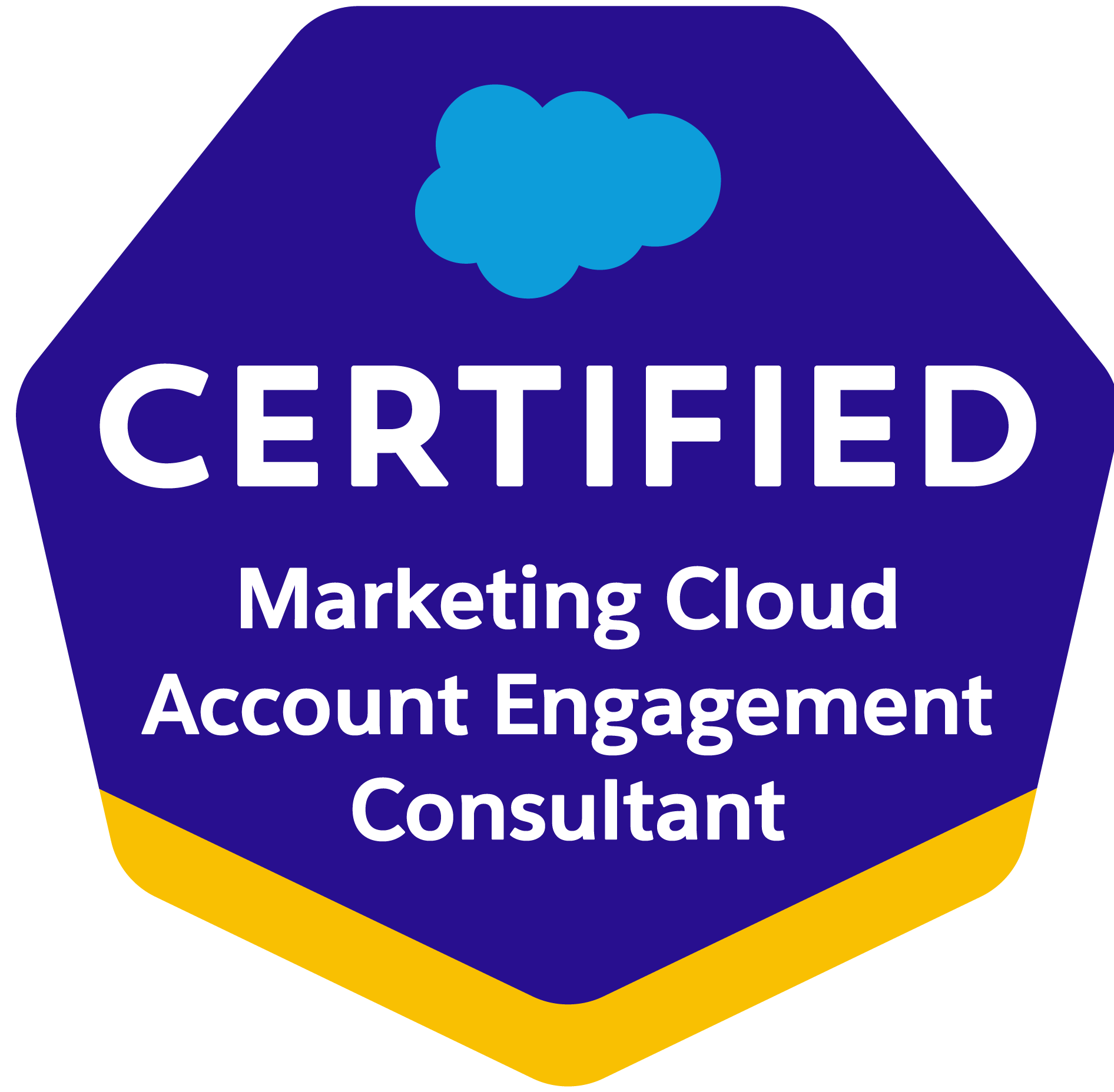 Marketing Cloud Account Engagement Consultant certificaat - Salesforce specialist